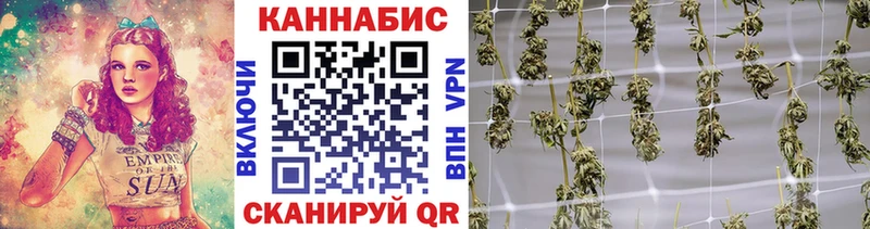 Купить  Тара  Бошки марихуана AK-47 